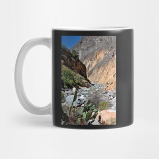 Pérou - Arequipa - Canyon de Colca Mug